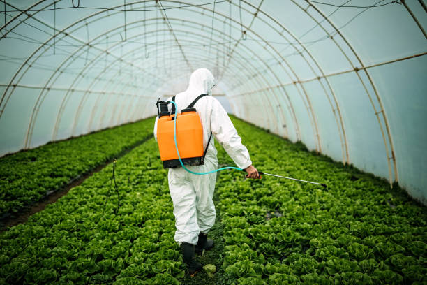 Best Mosquito Control Services  in Fort Scott, KS