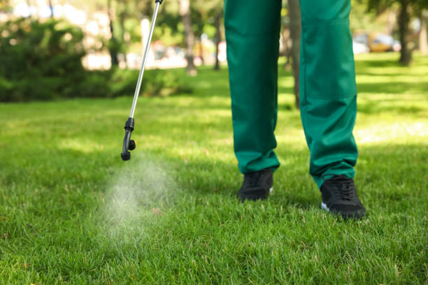 Best Local Pest Control Services  in Fort Scott, KS