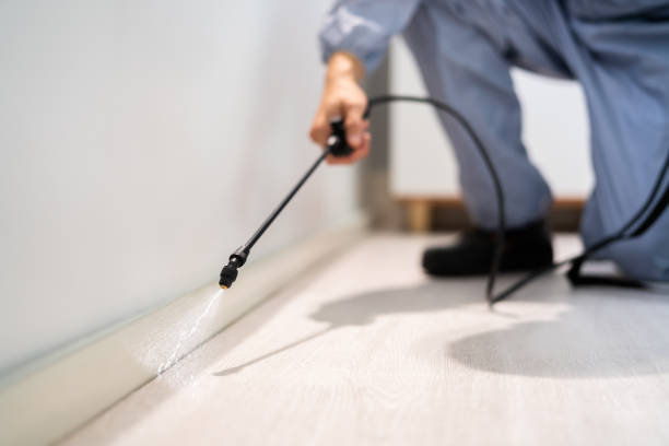 Best Pest Removal Services  in Fort Scott, KS
