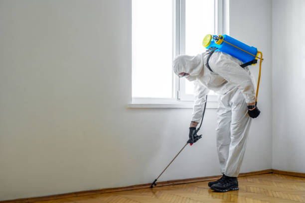 Reliable Fort Scott, KS Pest Control Solutions