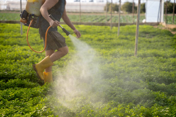 Best Wildlife Control Services  in Fort Scott, KS