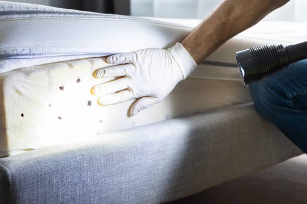 Best Pest Control Near Me  in Fort Scott, KS