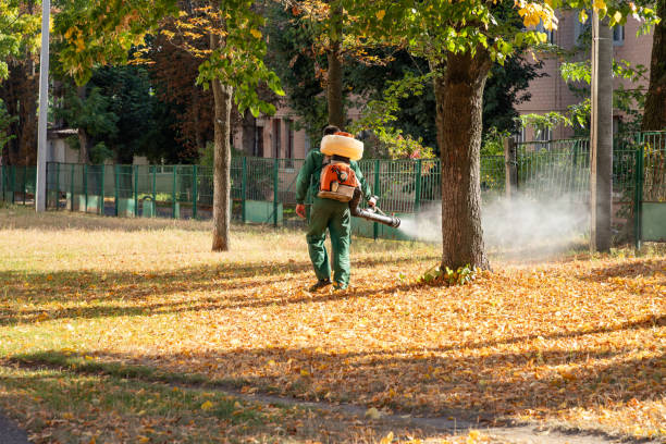 Best Rodent Control Near Me  in Fort Scott, KS