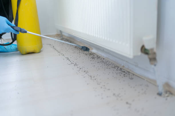 Best Best Pest Control Companies  in Fort Scott, KS