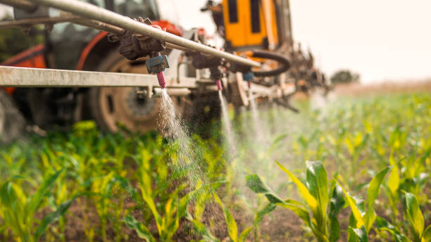 Best Pest Prevention Services  in Fort Scott, KS